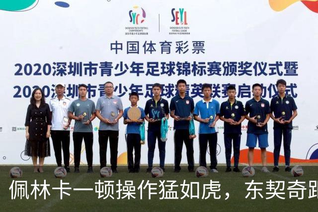 佩林卡一顿操作猛如虎，东契奇距离终生无冠再进一步